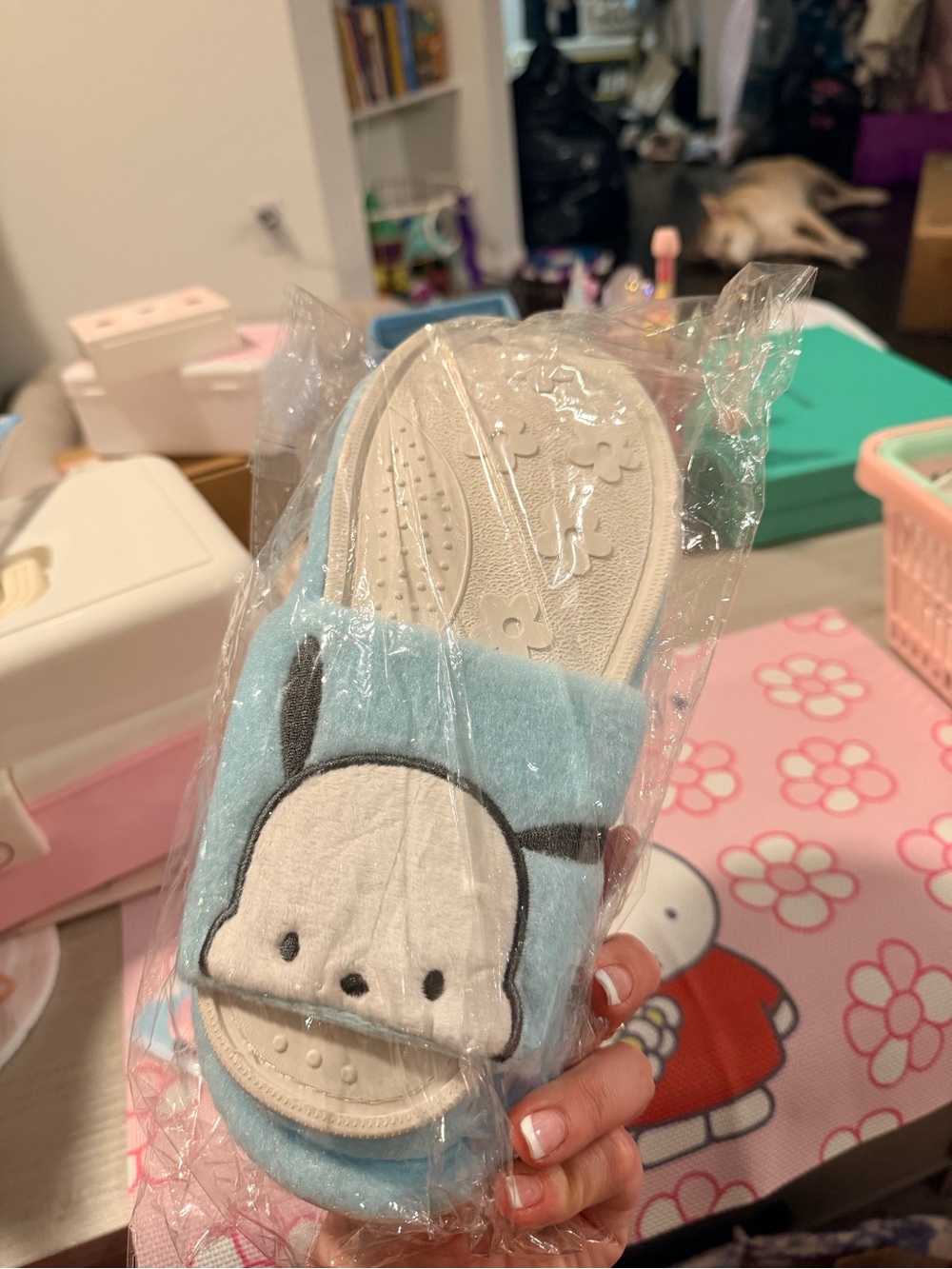 Blue Plush Pochacco Slippers